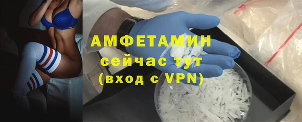 сатива Армянск