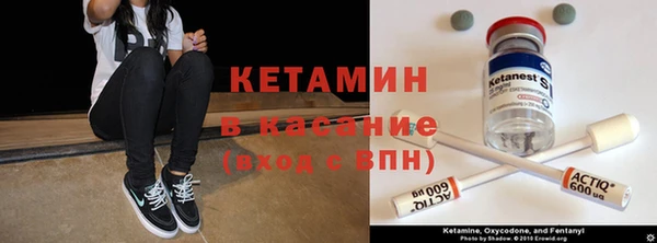 кокс Арсеньев