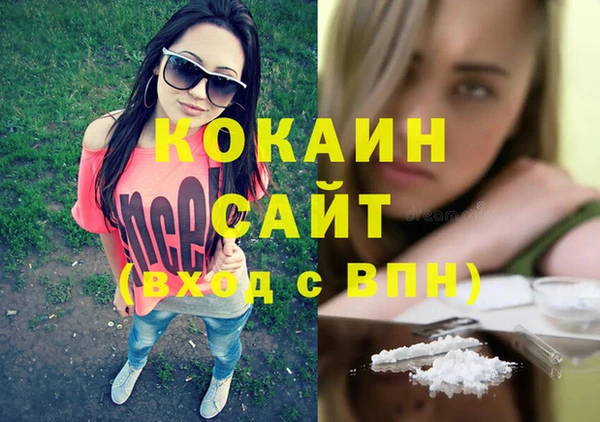 индика Осташков